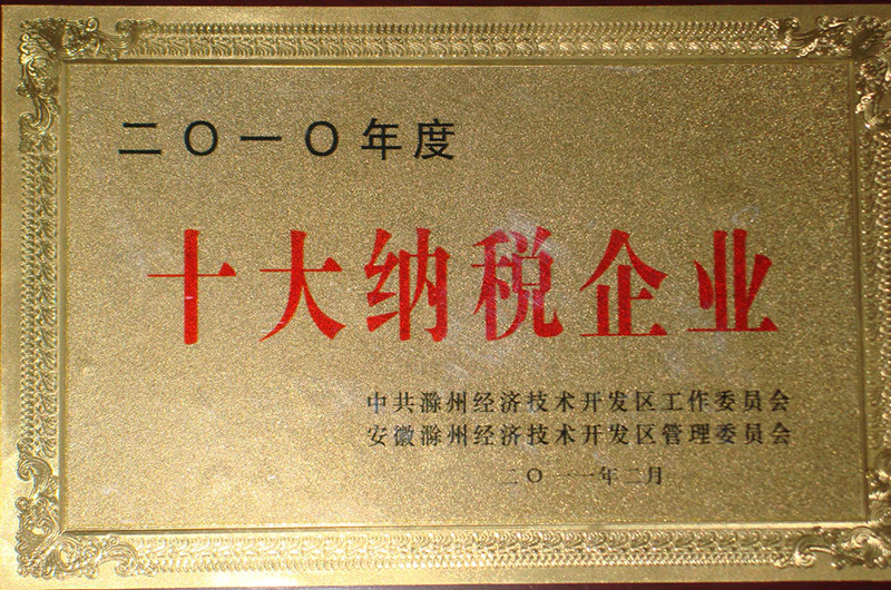 十(shí)大納稅企業